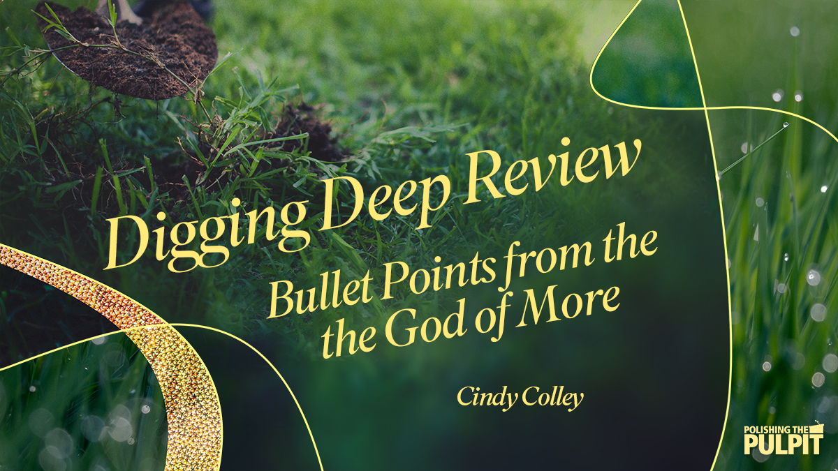Digging Deep Review: Bullet Points from the God of More | Cindy Colley