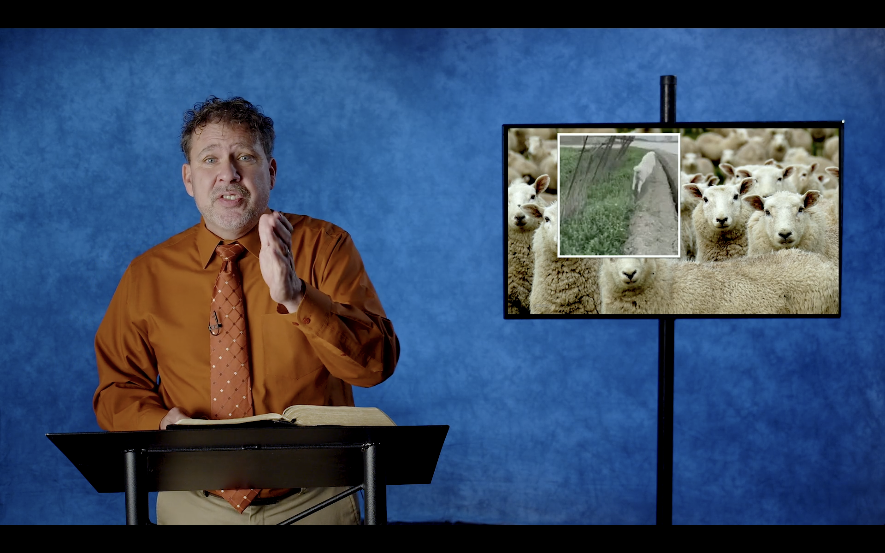 Why Sheep? | Odie Duncan