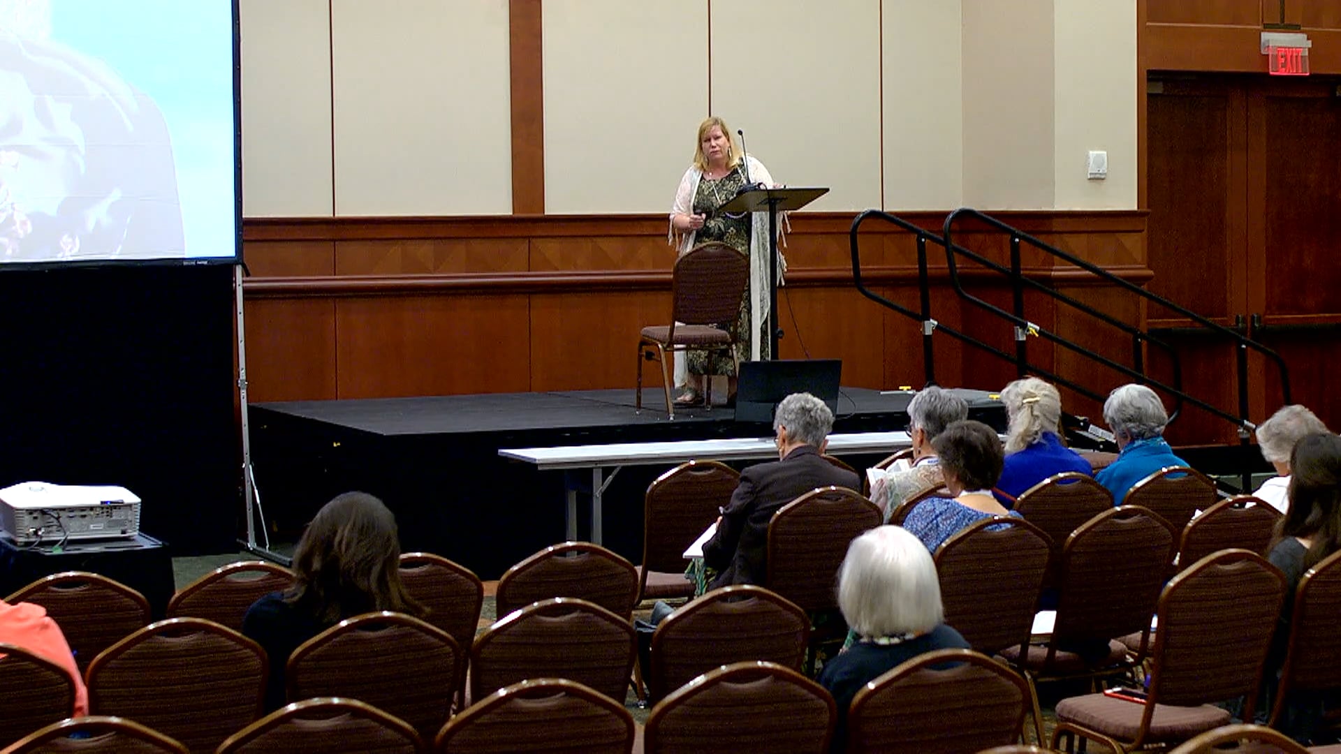 Celine Sparks: Jaw-dropping Stories from 1 and 2 Kings