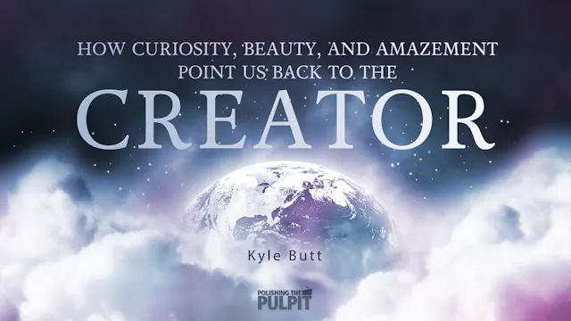 How Curiosity, Beauty, and Amazement ...