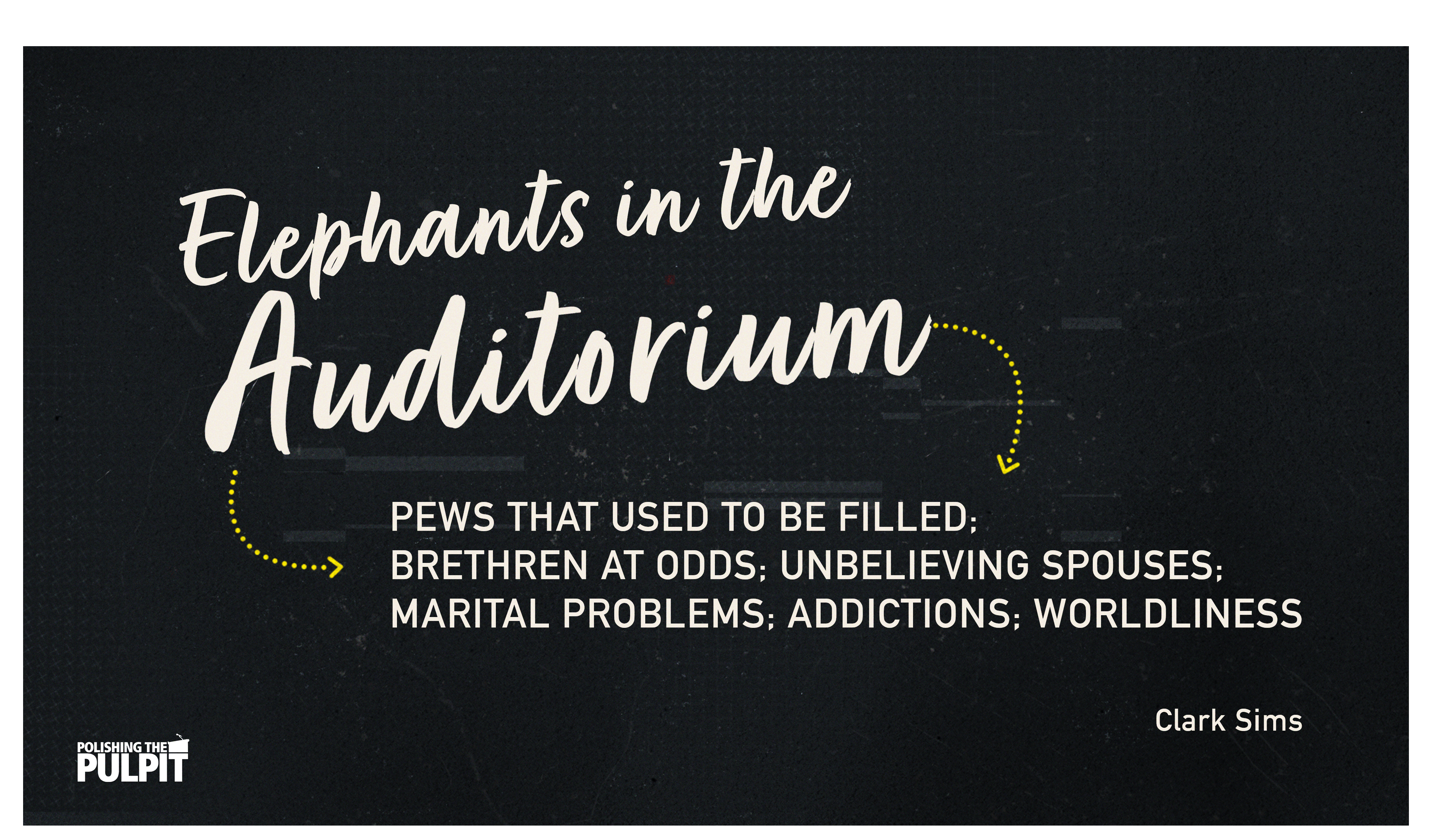 Elephants in the Auditorium | Clark Sims