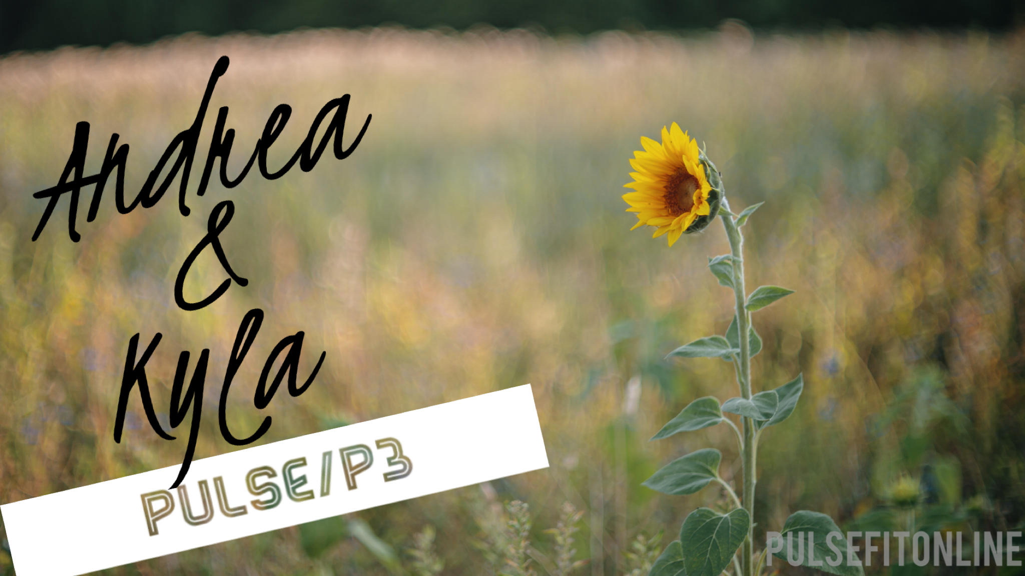 Andrea & Kyla~Pulse/P3 (second half with small hand weights)~~~throwback to Q!