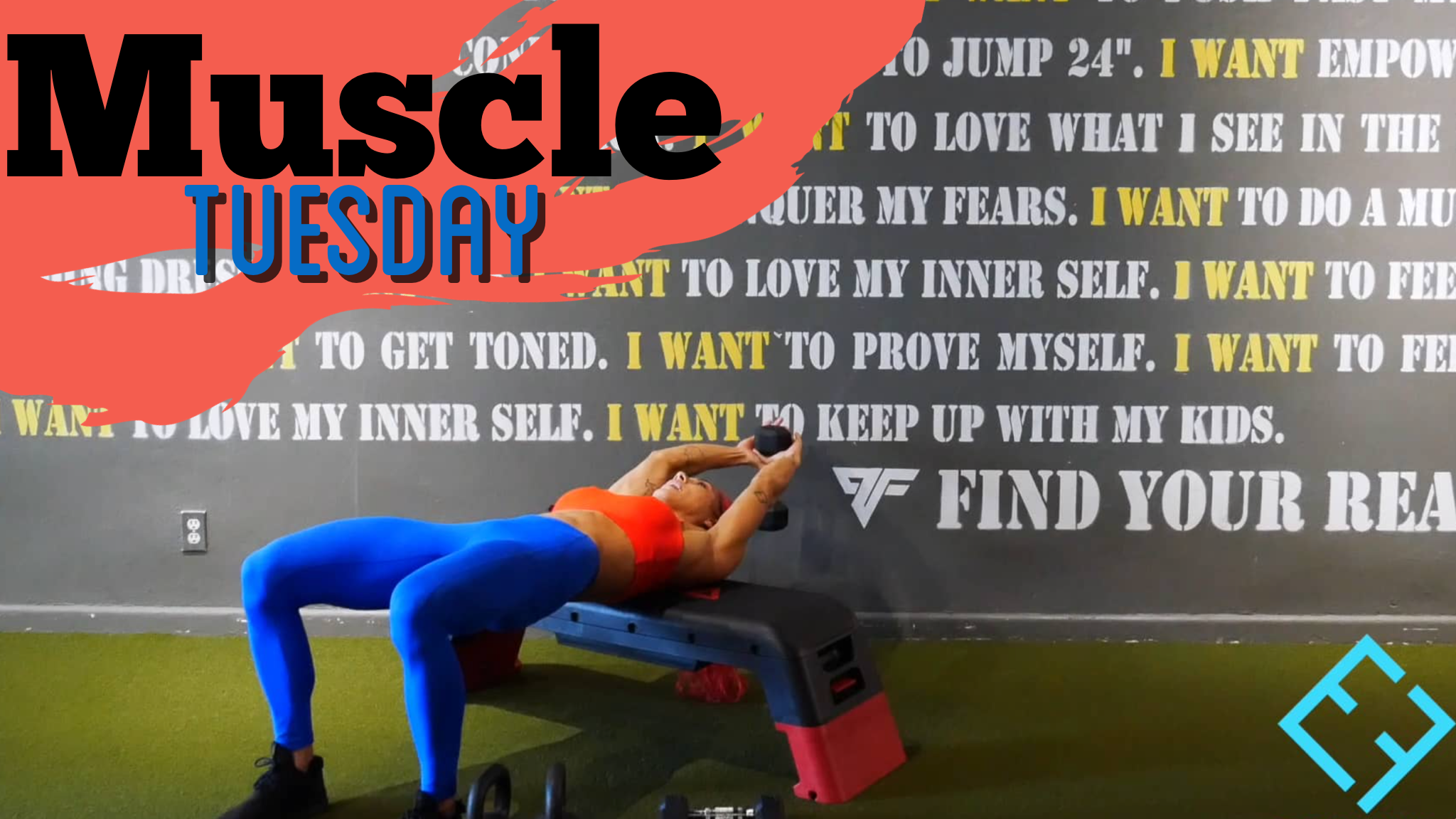 MUSCLE TUESDAY | FULL BODY
