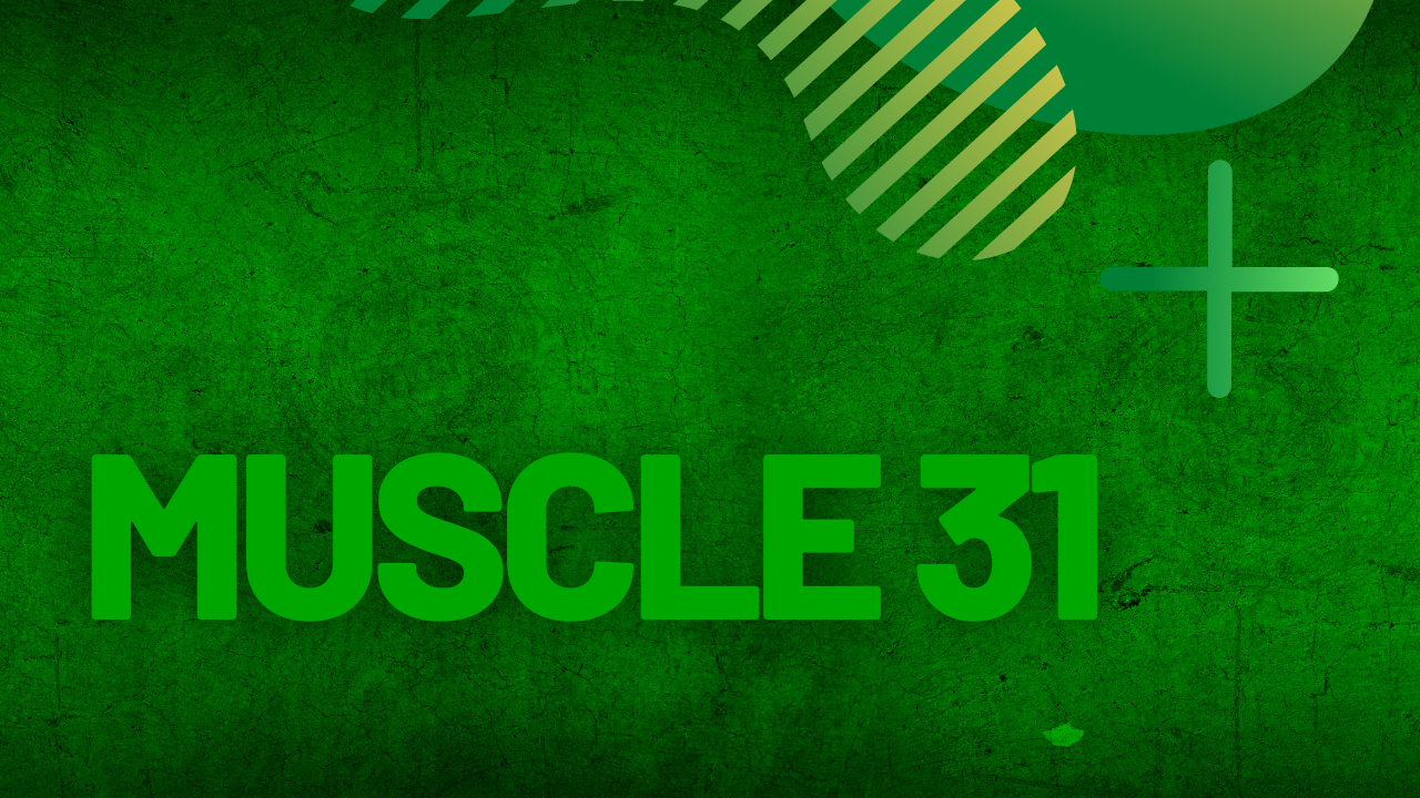 Muscle #31 | Follow Along | Coach Paulo