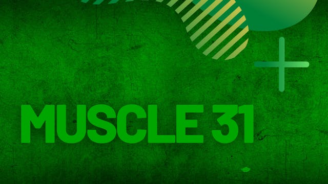 Muscle #31 | Follow Along | Coach Paulo