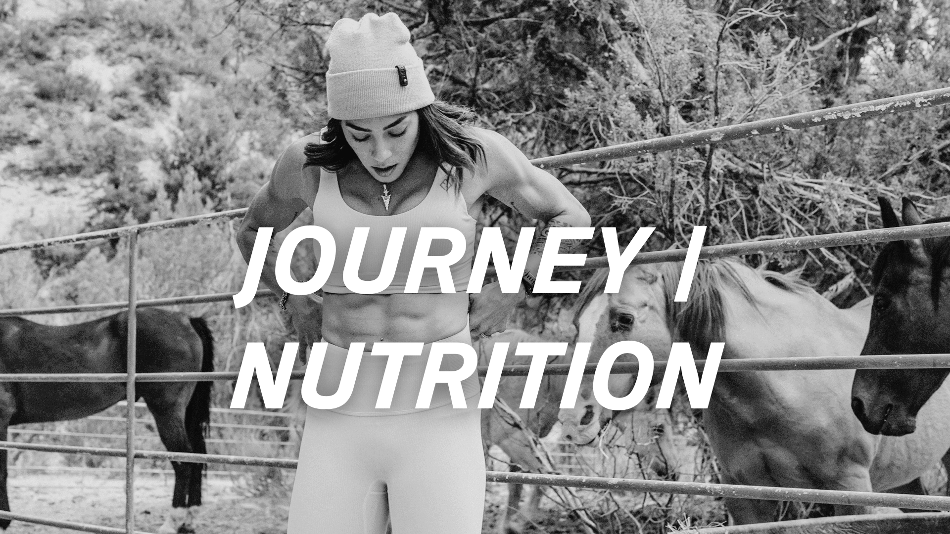 JOURNEY | Nutrition