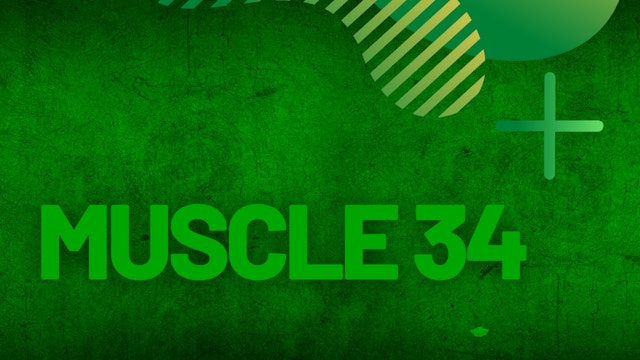 Muscle #34 | Follow Along | Coach Hannah