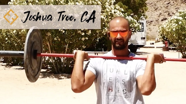 Tool Variation in Joshua Tree with Paulo