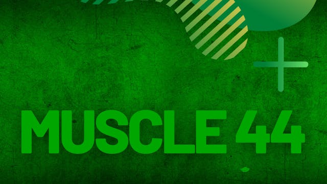 Muscle #44 | Follow Along | Coach Paulo
