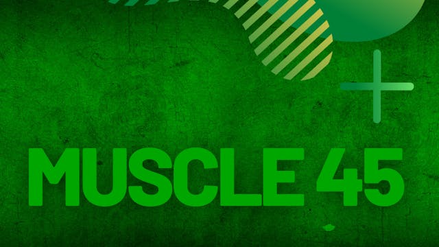 Muscle #45 | Follow Along | Coach Paulo