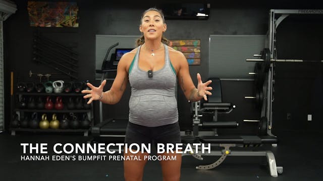 BumpFit | The Connection Breath