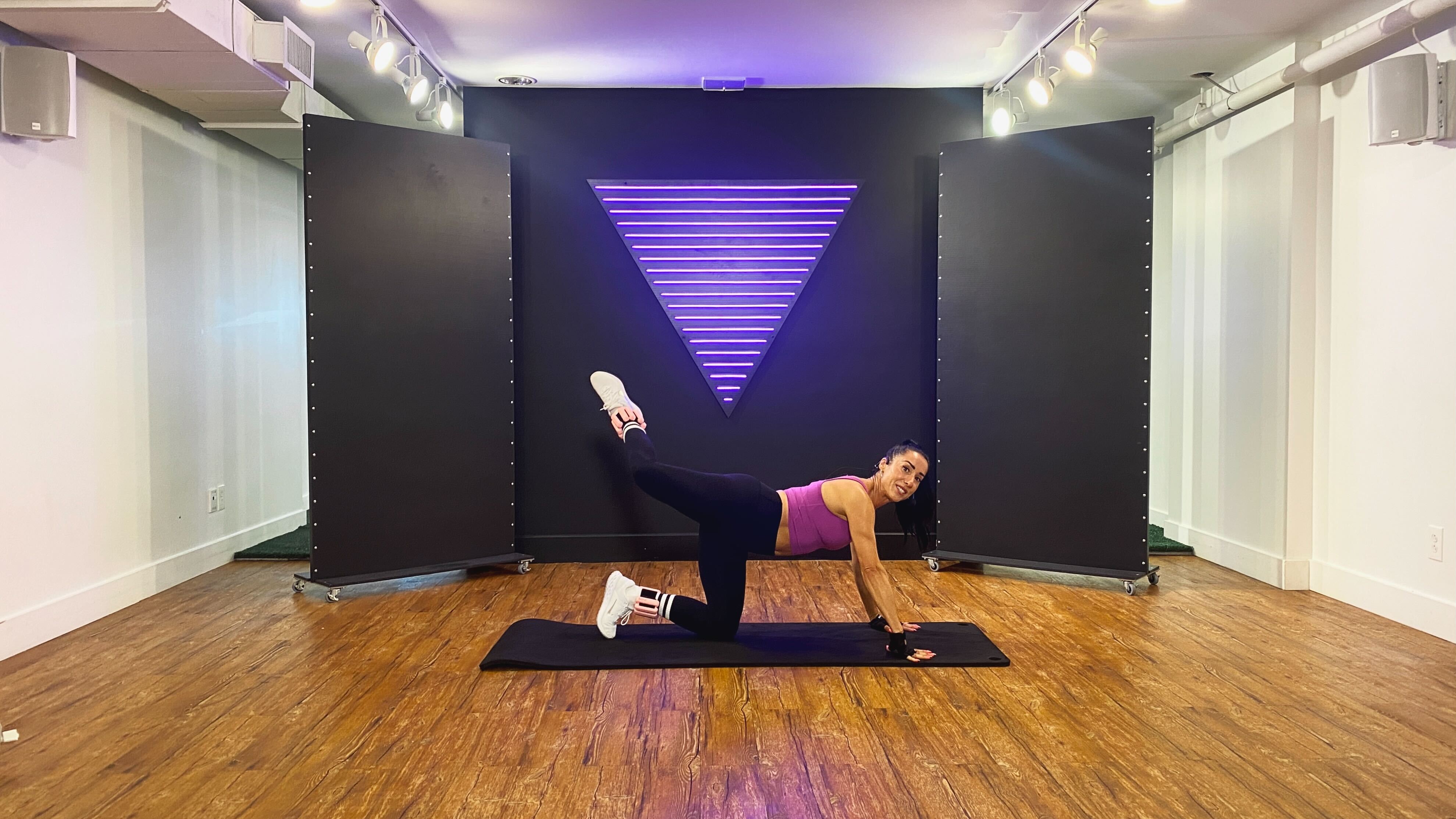 SCULPT NATION - Ankle Weights - #66