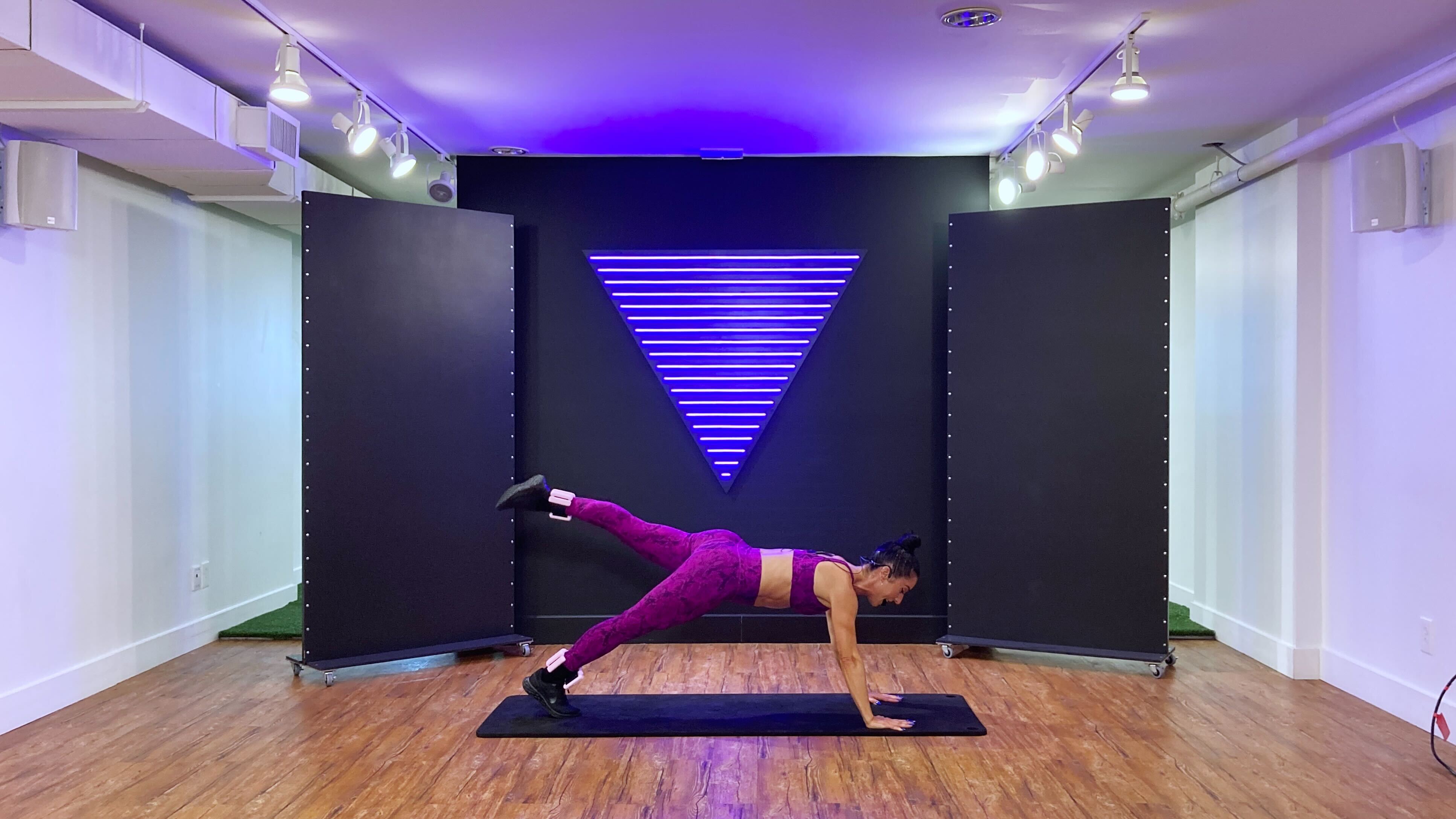 SCULPT NATION - Ankle Weights - #58