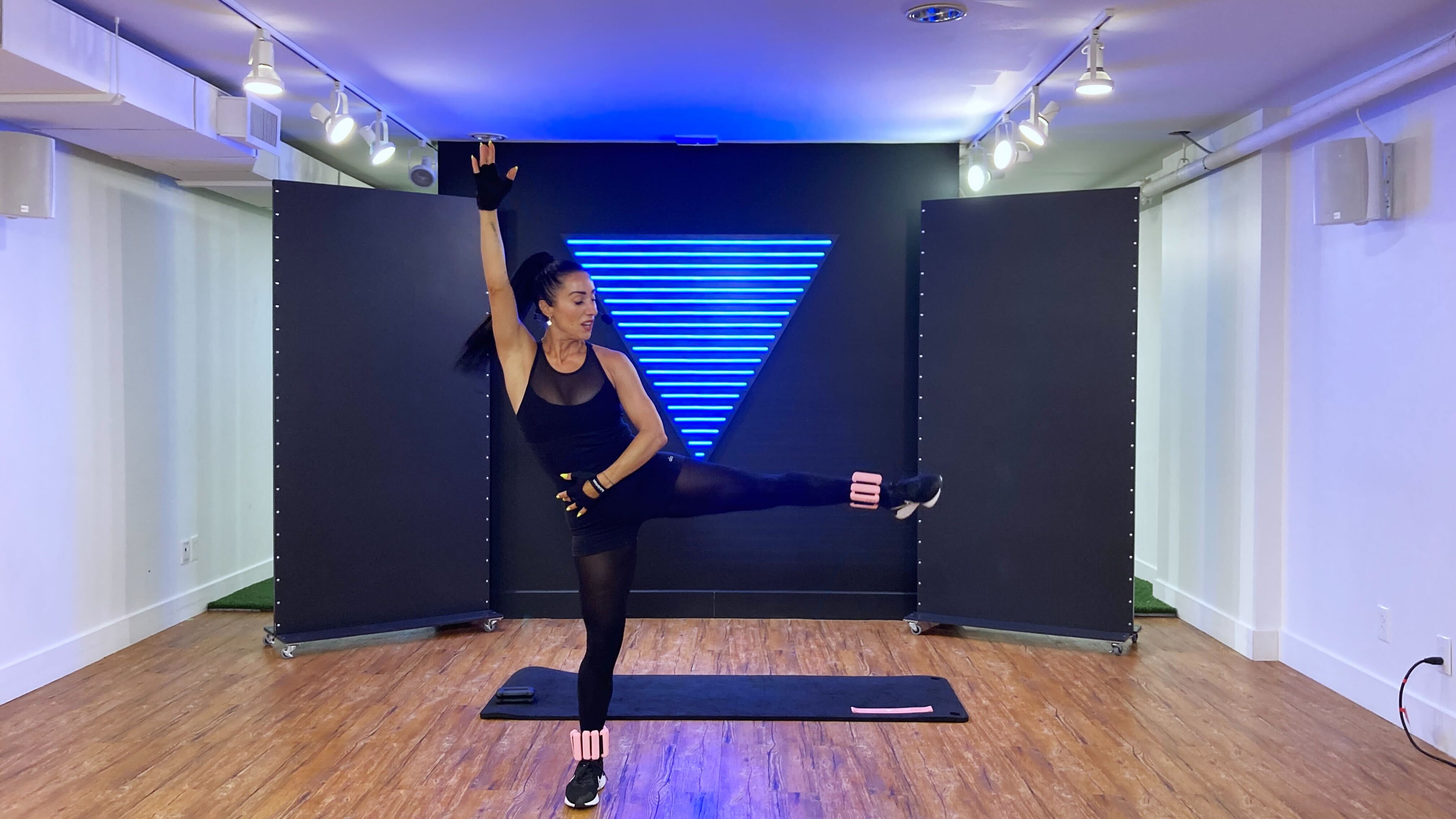 SCULPT NATION - Arm Weights & Ankle Weights - #61