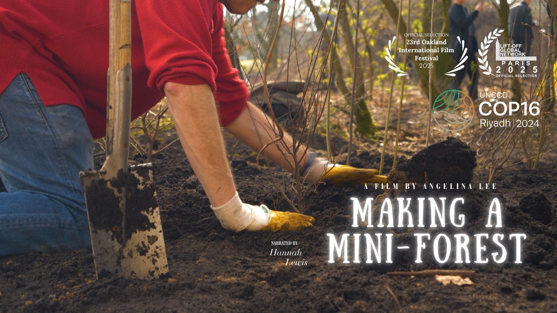 Making a Mini-Forest