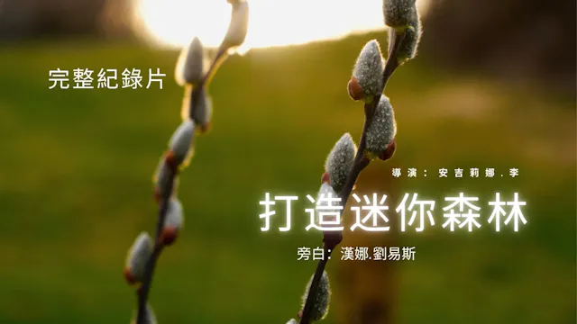 打造迷你森林 (Making a Mini-Forest)