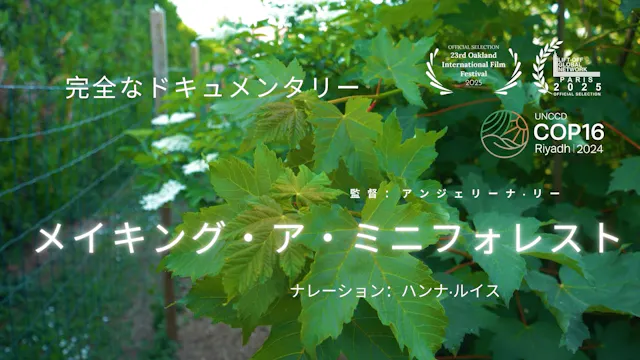 メイキング・ア・ミニフォレスト (Making a Mini-Forest)