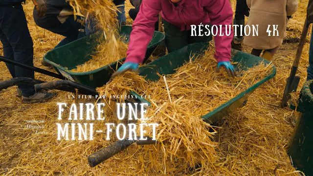 Faire Une Mini-Forêt