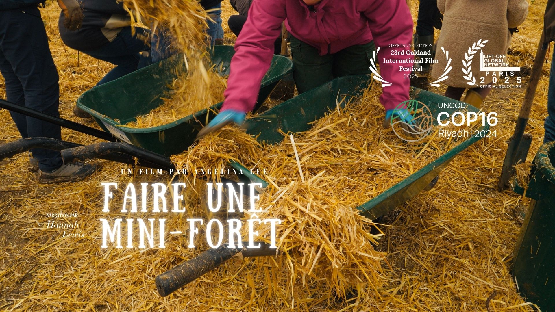 Faire Une Mini-Forêt