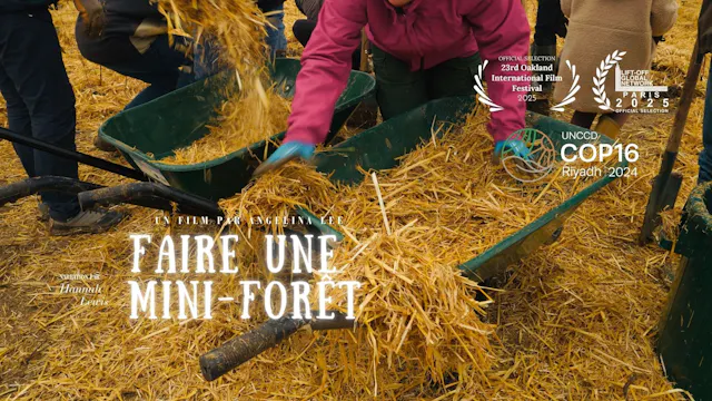 Faire Une Mini-Forêt