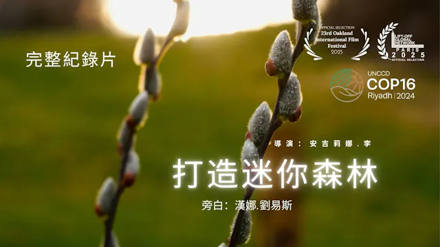 打造迷你森林 (Making a Mini-Forest)