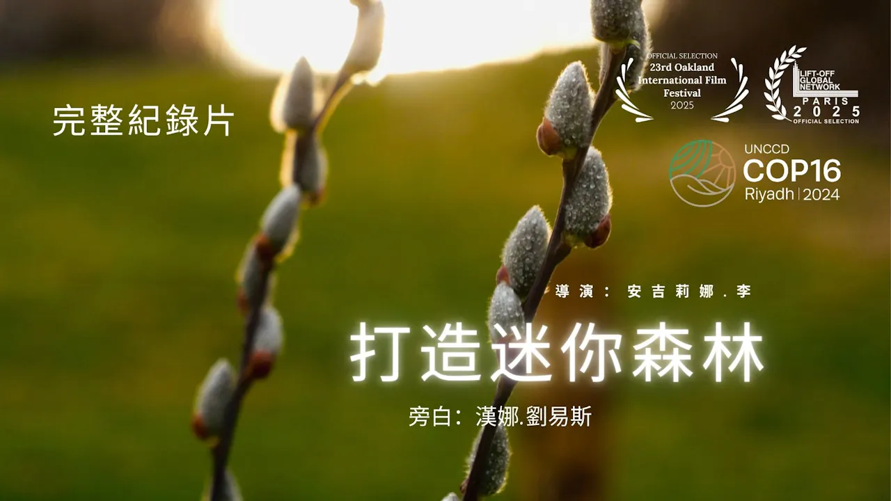 打造迷你森林 (Making a Mini-Forest)