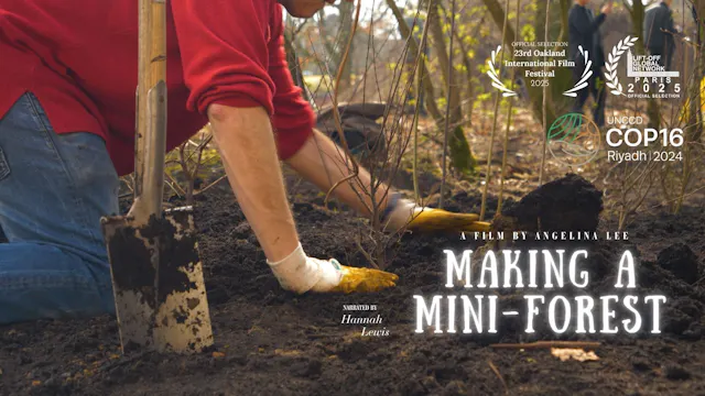 Making a Mini-Forest