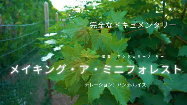 メイキング・ア・ミニフォレスト (Making a Mini-Forest)