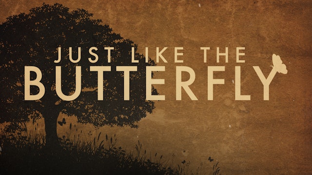 Just Like The Butterfly