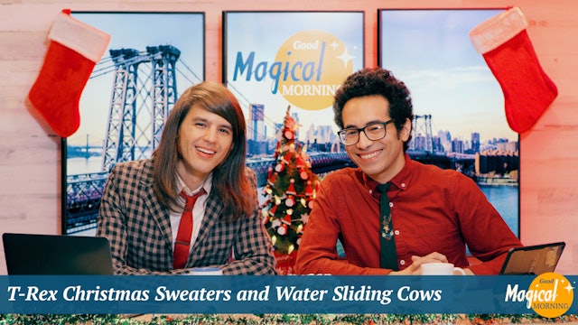T-Rex Christmas Sweaters and Water Sliding Cows