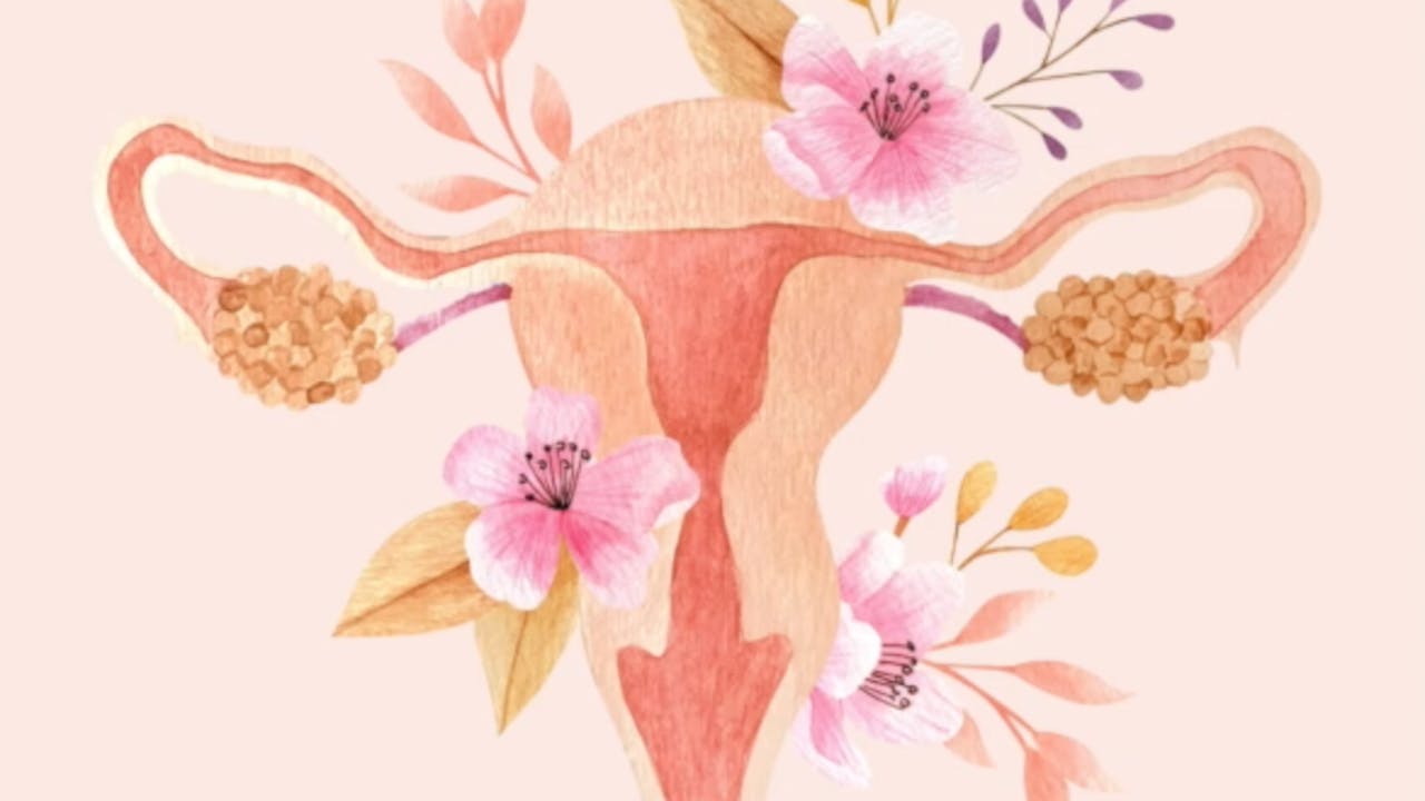 Sync your Yoga with your Cycle