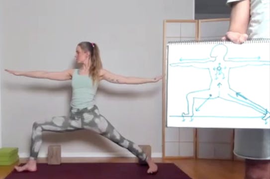 Discovering the elements