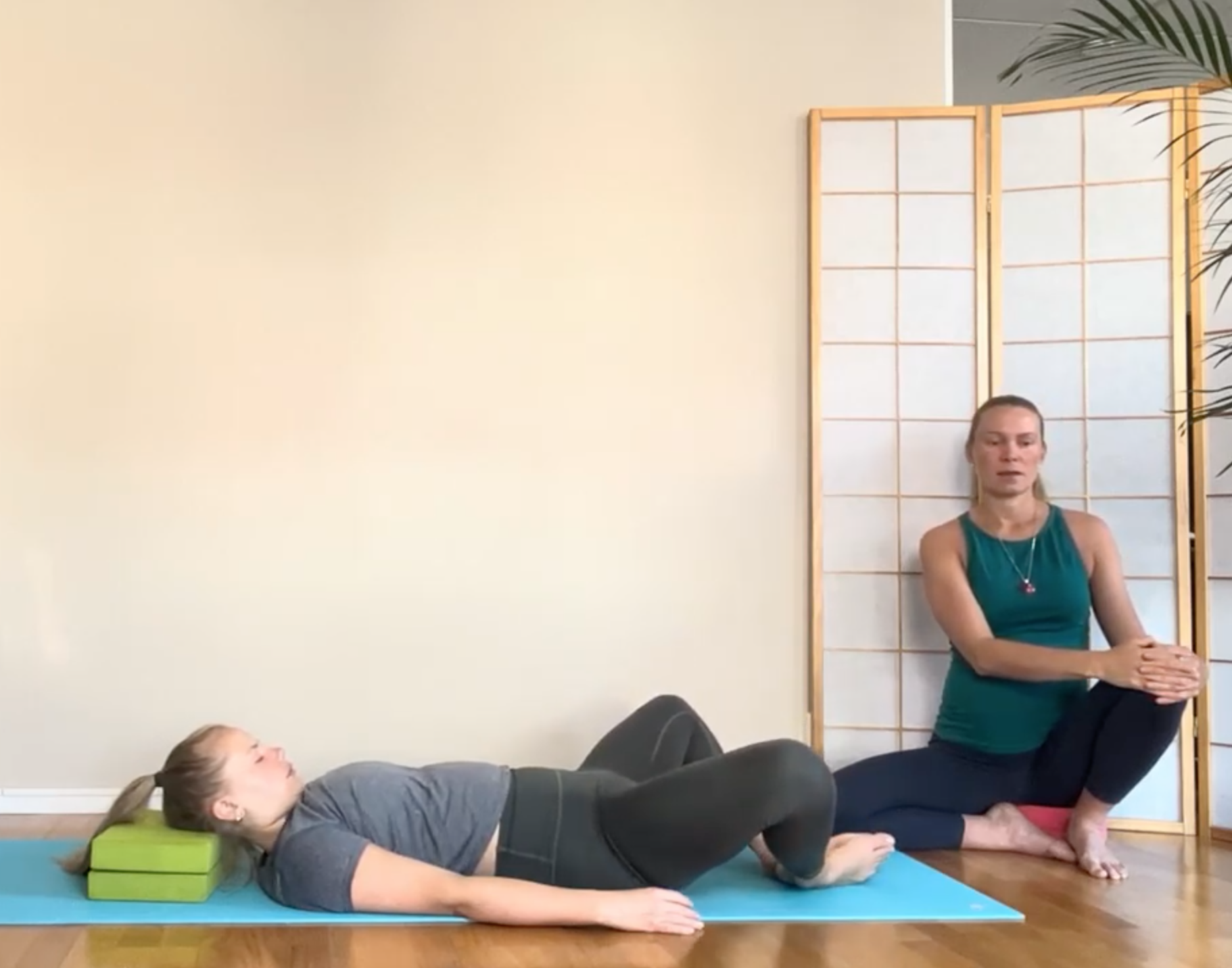 Stability through the Pelvic Floor & Hips