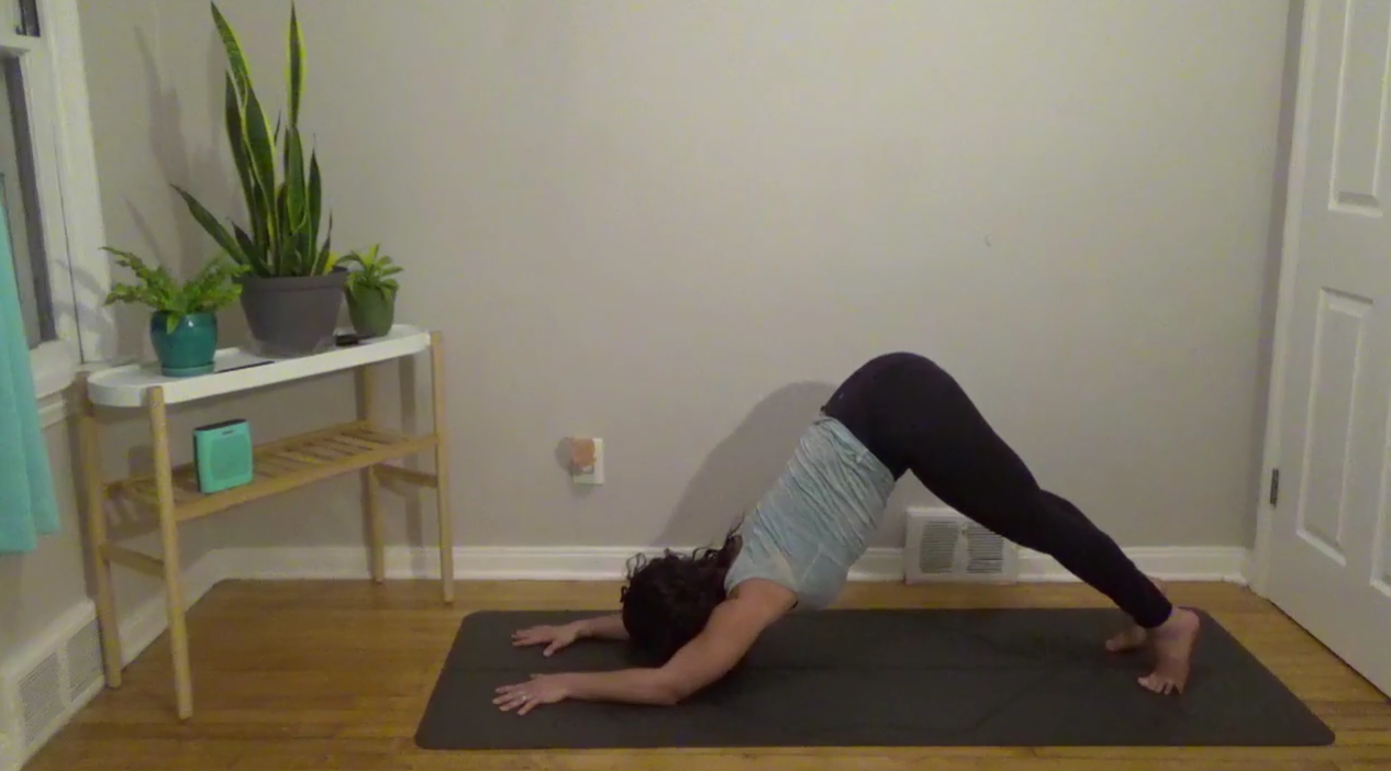 Flowstrong 04: Dynamic Dolphin