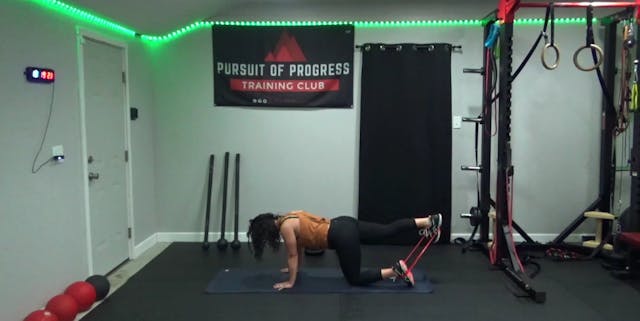 Full-body Resistance Band