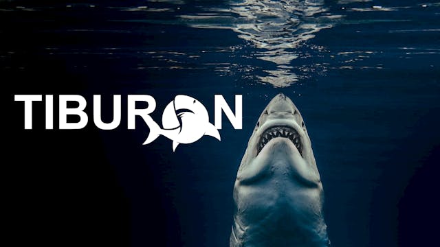 Tiburon.