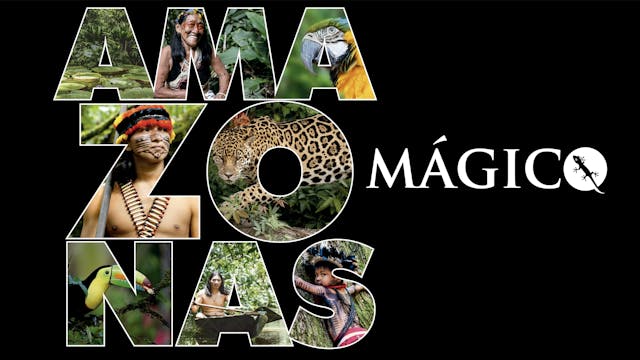 Amazonas Magico.