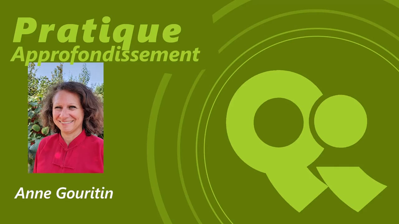 Anne Gouritin_Pratique2_Qi Connexion 21 Hd_24itx27