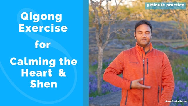 5 Minute Heart Calming Qigong Practice (5 mins)
