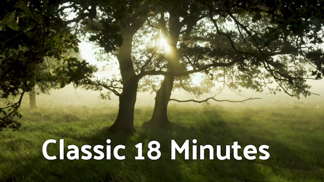 Classic 18 Minute Routine (18 mins)