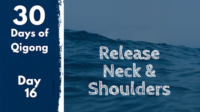 Day 16 Release Neck and Shoulders (11 mins)