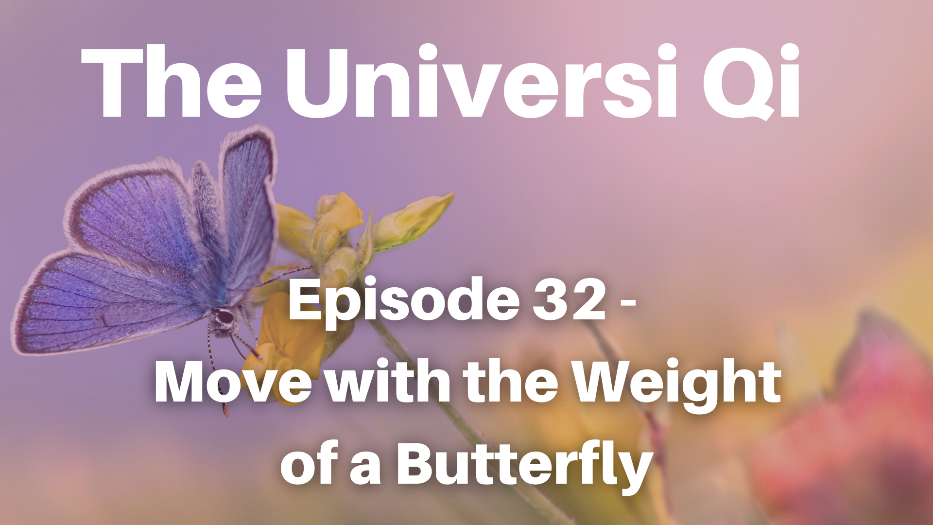 Universi Qi Episode 32 - Move with the Weight of a Butterfly (10 mins)