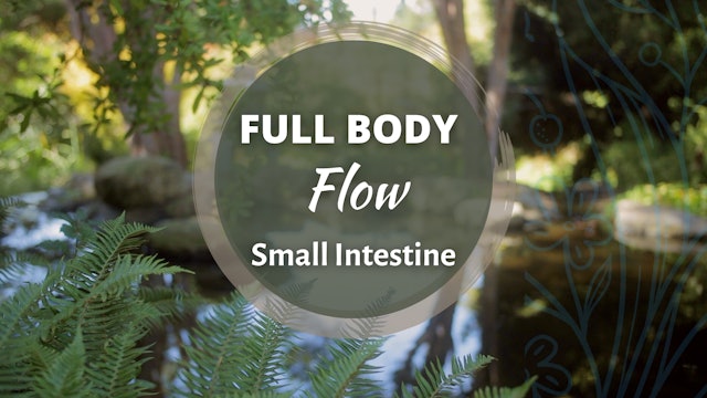 Full Body Flow - Small Intestine (56 mins)