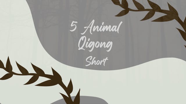 5 Animal Qigong Routine (11 mins)