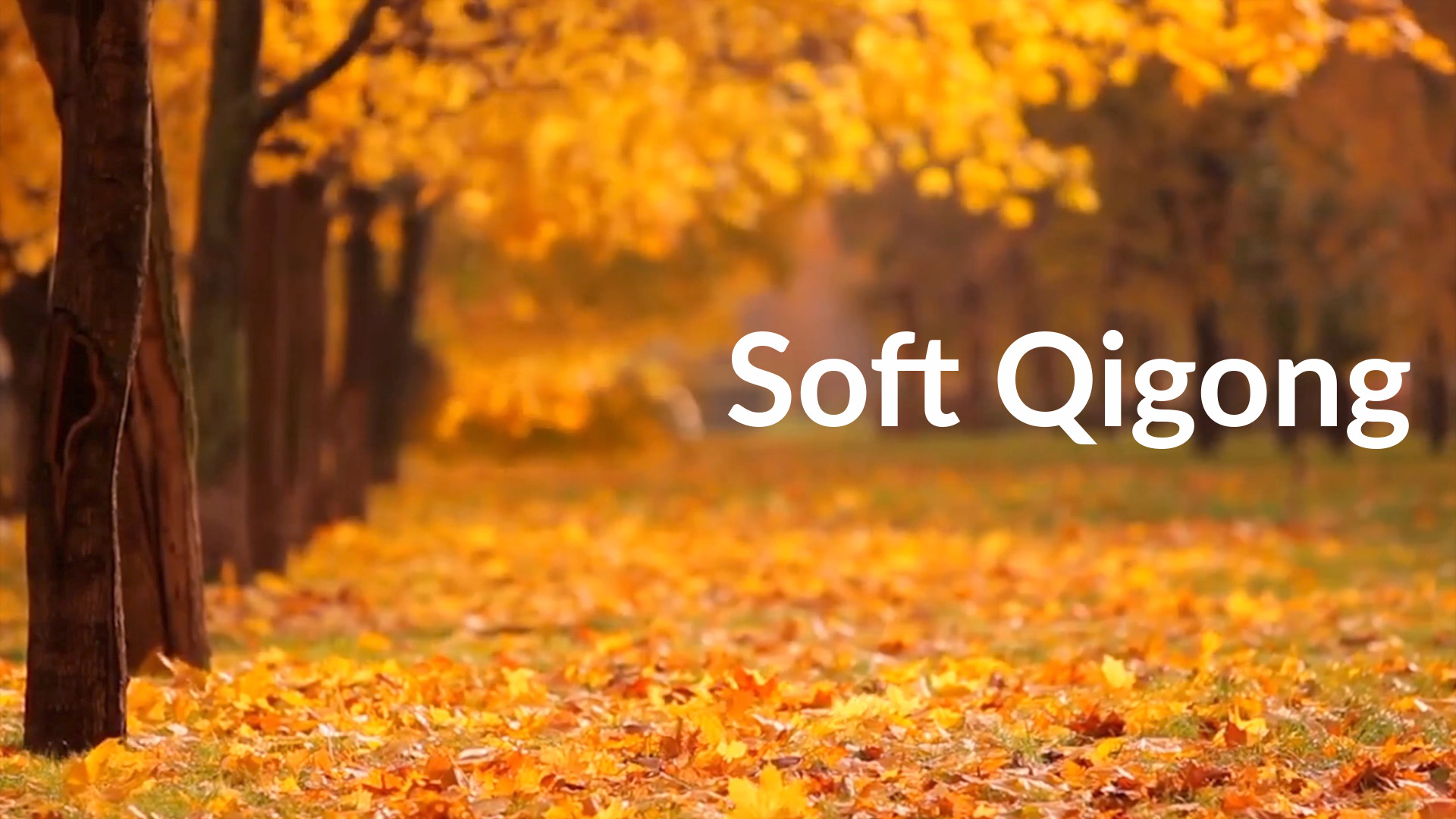 Soft Qigong (15 mins)