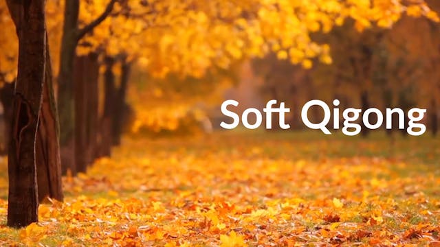 Soft Qigong (15 mins)