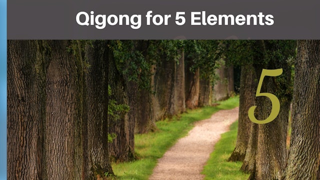 Qigong for 5 elements.pdf