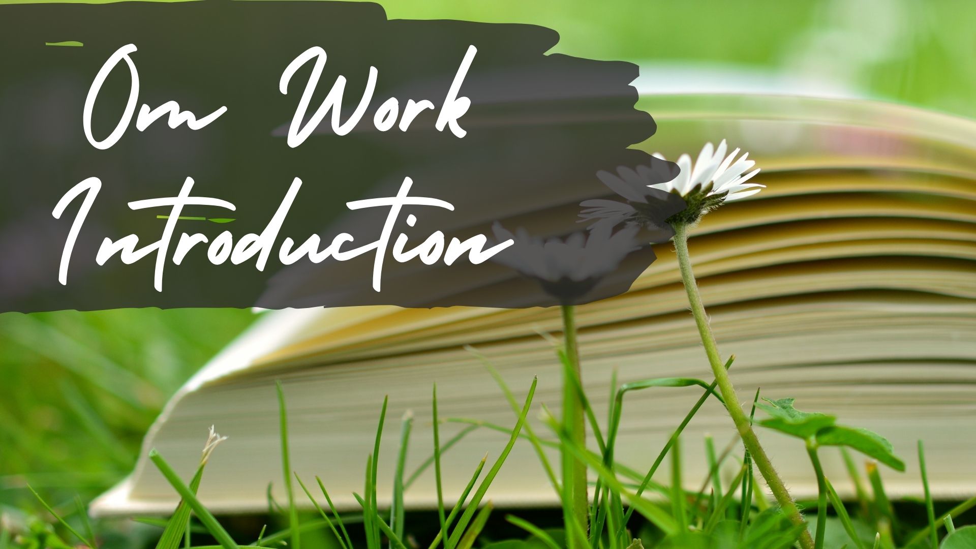 Intro to the Om Work Section (1 min)