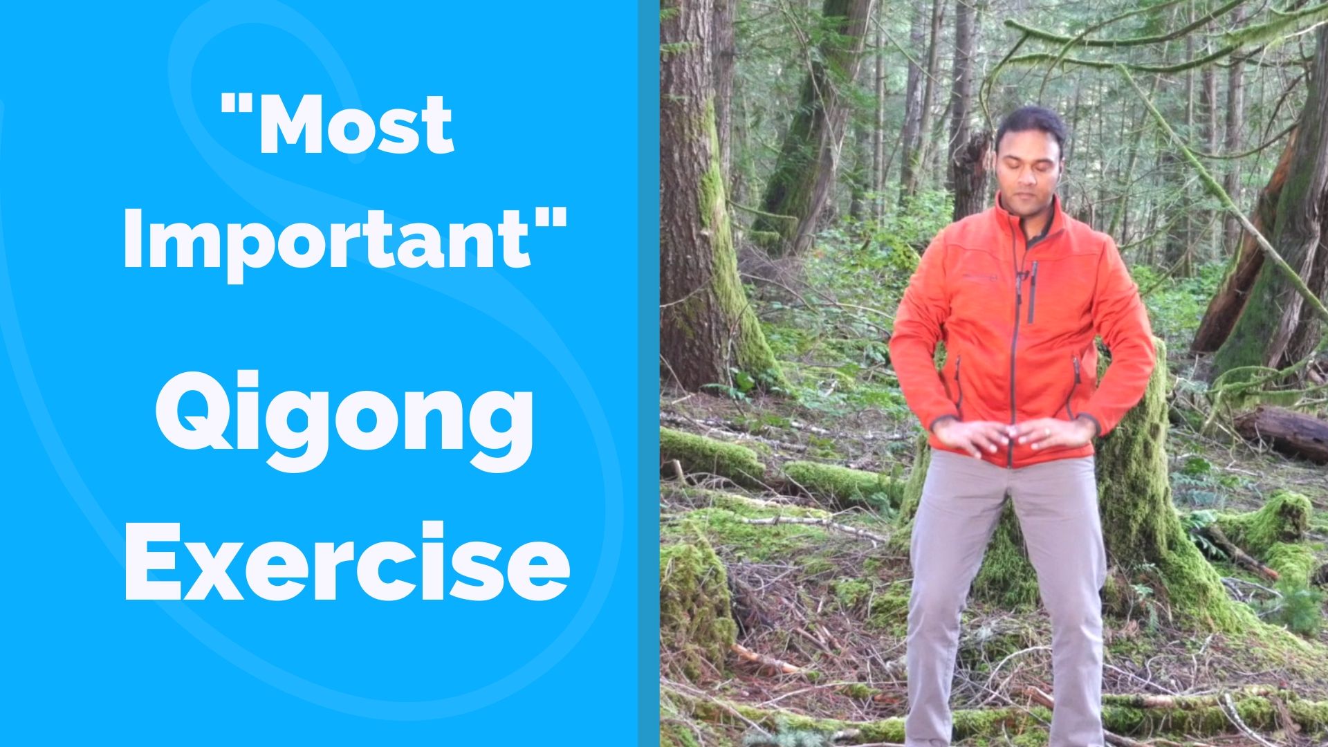 "Most Important" Qigong Exercise for Beginners (8 mins)