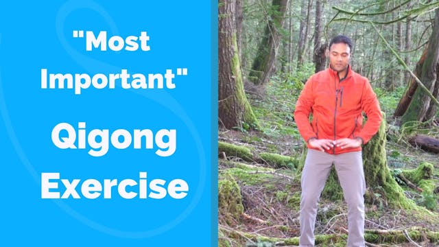 "Most Important" Qigong Exercise for ...